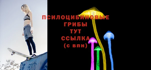 спиды Алексин