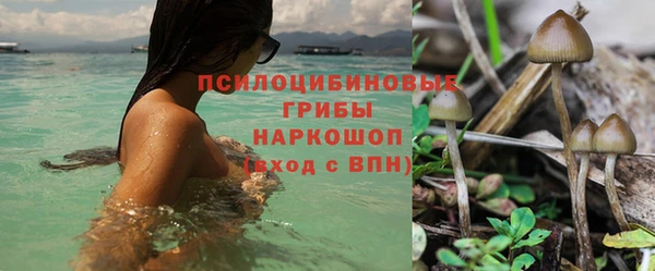твердый Краснослободск